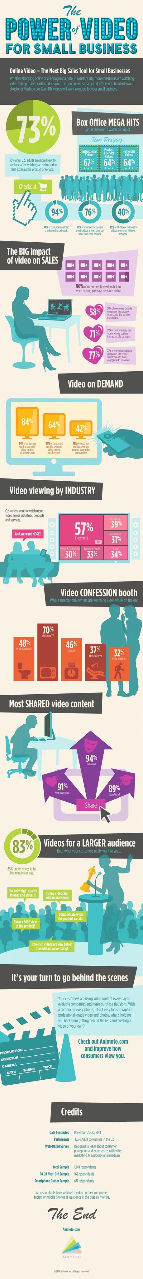 Small Business Video infographic
