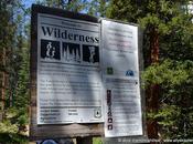 ~dole Wild Blueberry Grunt~