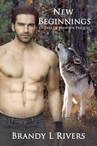 New Beginnings Prequel