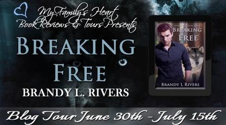 Breaking Free - Tour Banner