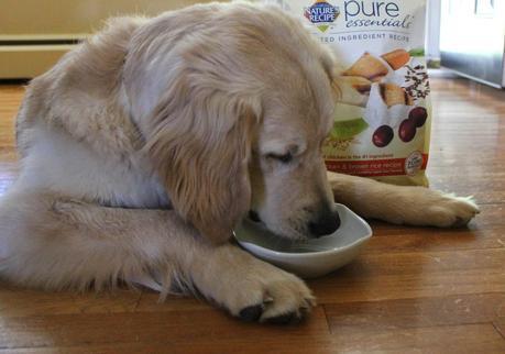 Taking The Guesswork Out Of Puppy Food #Pure Essentials