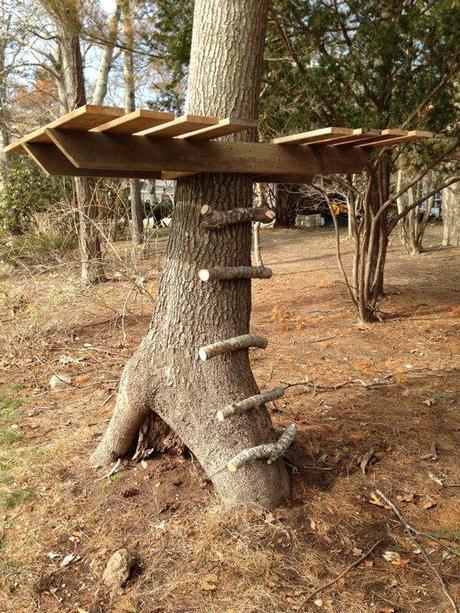 Five Ways to Make Your Backyard Awesome This Summer! Five Ways to Make Your Backyard Awesome This Summer!