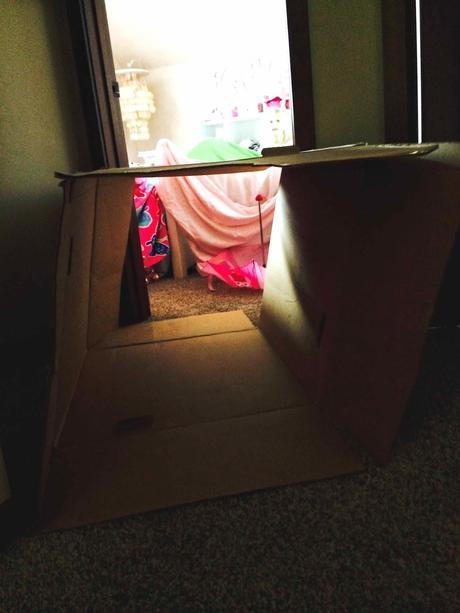 Five Ways to Make Your Backyard Awesome This Summer! Five Ways to Make Your Backyard Awesome This Summer!