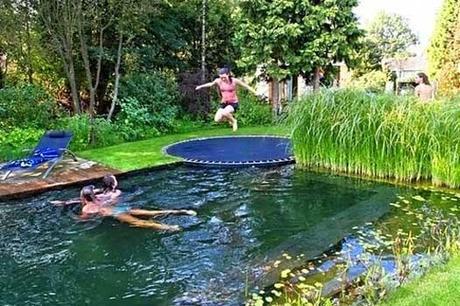 Five Ways to Make Your Backyard Awesome This Summer! Five Ways to Make Your Backyard Awesome This Summer!