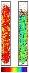 Spatial distribution of ice and water in a cylindrical water column, as measured in the present study with the new neutron imaging technique. Red means only ice present, violet only liquid water.