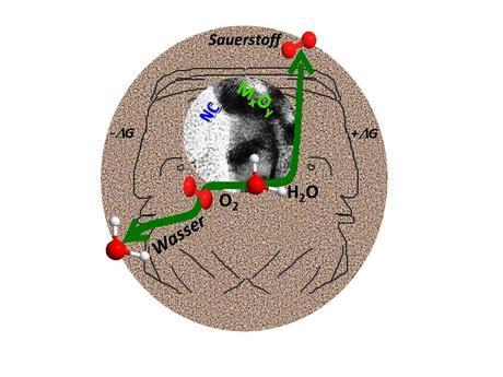 Janus-faced catalyst: The novel catalysts developed by RUB chemists facilitate two opposite reactions: the electrolysis of water and the combustion of hydrogen with oxygen.