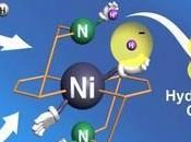 Carbon-Based Catalyst Batteries, Fuel Cells Developed