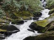 Victory: Appeals Court Upholds Efforts Protect Appalachian Water Communities