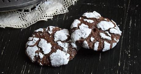 Chocolate Snow Cookies