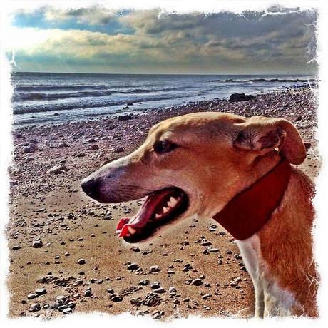 Easington Colliery Beach