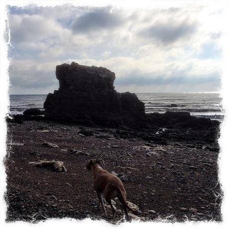 Easington Colliery Beach