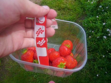 SUMMER BUCKET LIST// Strawberry Picking