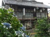 紫陽花に染まる上州小幡のまちなみ Obata Dyed Hydrangeas
