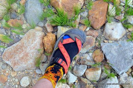 ~what's to love about camping~