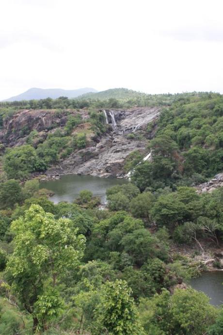 Taken July 12, 2014 in Chamarajanagara District of Karnataka State in India.