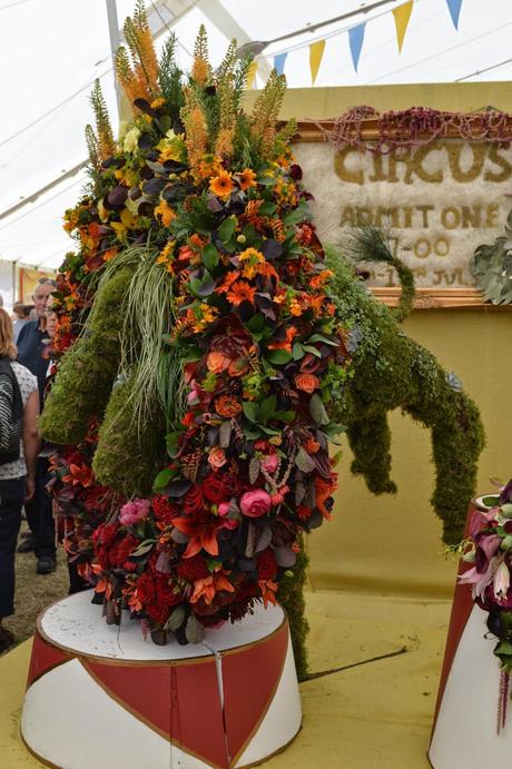 A visit to Hampton Court Flower Show