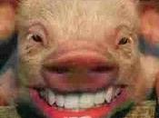 More Lipstick, Same Pig: Commonweal Regulars Emergency Contraceptives Abortifacients Bishops Believe That Settles