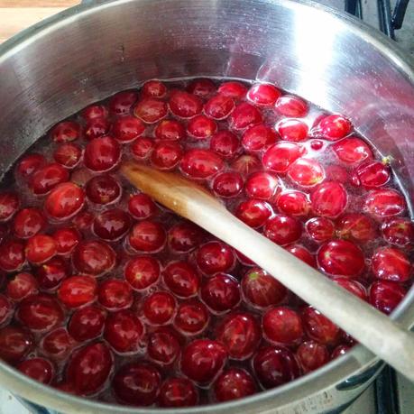 Red Gooseberry Jam