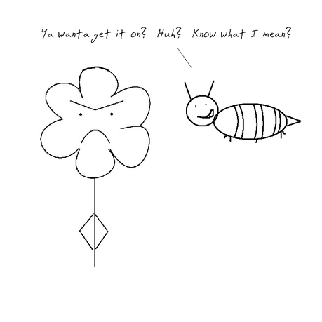 Grumpy Flower Meets A Flirtatious Bee