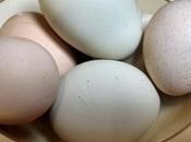 Lesson 1073 Eggs Heat