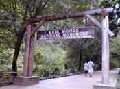 Exploring Muir Woods!