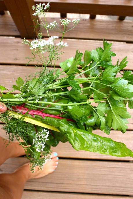 Salad Starters