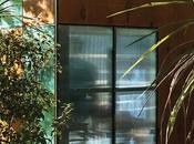 Modular Backyard Playhouse Zealand