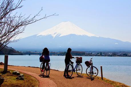 Chasing Cherry Blossoms in Japan - Fujisan