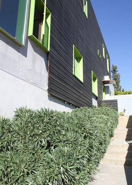 green-windows-black-exterior