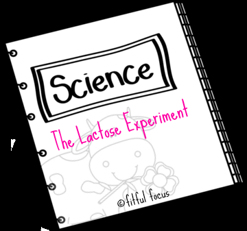 The Lactose Experiment via Fitful Focus