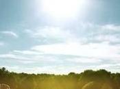 Follow These Fleet Summer Driving Tips Keep Your Headaches Down