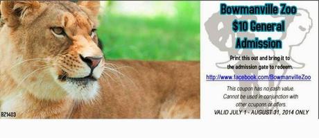 That Day We Cuddled Lion Cubs: Family Fun at The Bowmanville Zoo - Plus Discount!