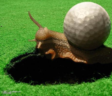 Can You Still Enjoy #Golf at a Snail's Pace?