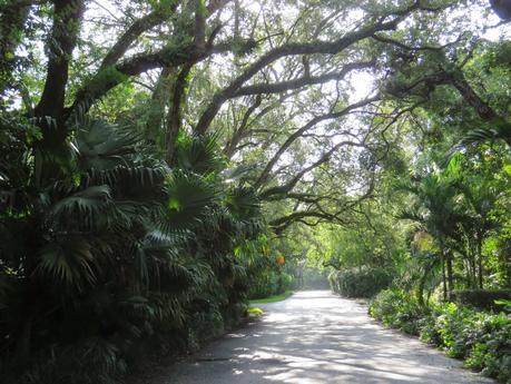 Walk with Me: Coconut Grove,FL