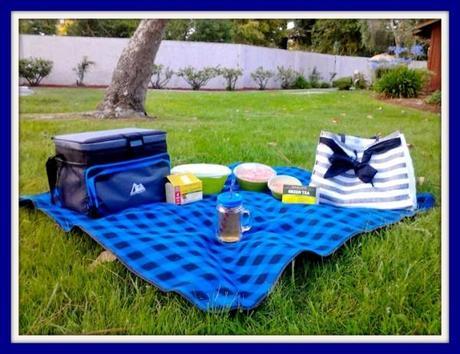 Picnic