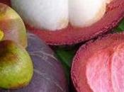 Health Benefits Mangosteen Fruit (Kokum)