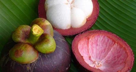 Health Benefits of the Mangosteen Fruit