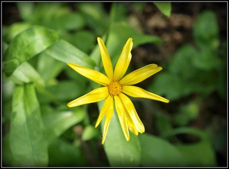 Flighty's Favourites