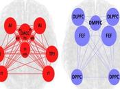 Response Large Scale Brain Networks Acute Stress.
