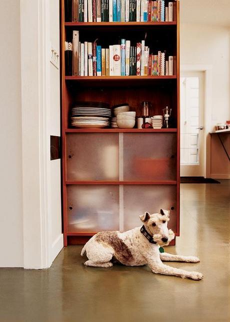 Sparky the wirehaired fox terrier takes a load off in front of one of the cherry-ply cabinets with sanded acrylic doors that Azevedo built for the kitchen.