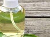 Basil Magical Remedy Treat Acne Pimples