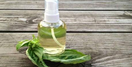 Basil - The Magical Remedy to Treat Acne and Pimples