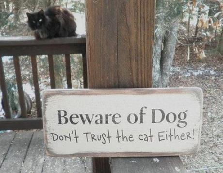 Top 10 Funny Beware of dog Signs