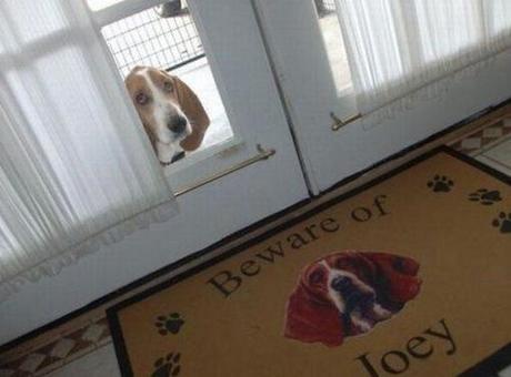 Top 10 Funny Beware of dog Signs