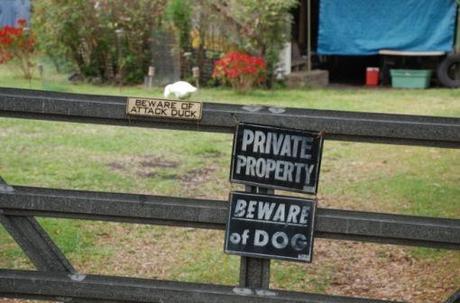 Top 10 Funny Beware of dog Signs