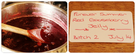 making red gooseberry jam  - 'growourown.blogspot.com' ~ an allotment blog