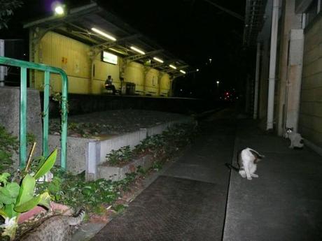 1ba7d66d2fa786e906a730a2ed02bc9c 深夜の鶴見線, 駅風景 / The Tsurumi Line at midnight