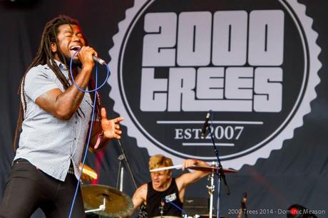 2000 Trees 2014: Friday