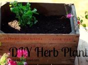 Herb Planter