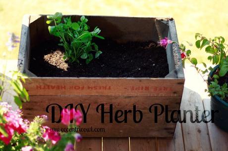 DIY Herb Planter www.eccentricowl.com